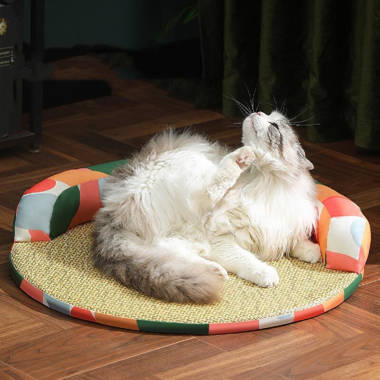 Cat 2024 sleeping mat